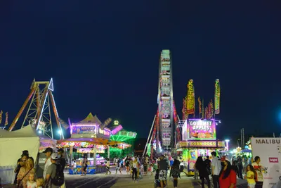 DSC_7785 (Large).JPG